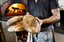 Un boulanger tenant plusieurs pains de pain au four à bois fraîchement cuits dans ses mains — Photo de stock