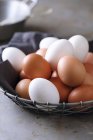 Brown and white chicken eggs in wire basket — Stock Photo