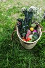 Una cesta con verduras, frutas y flores - foto de stock