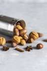 Nut mix close-up view — Stock Photo