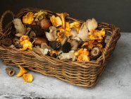 Close-up de deliciosos cogumelos girolles, abóboras, morels — Fotografia de Stock