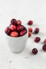 Cranberries in bowl  close-up view — Stock Photo