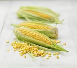 Свежая кукуруза на початке — стоковое фото