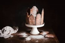 Hausgemachter Schokoladenkuchen mit Puderzucker und Pulver — Stockfoto
