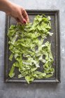 Tagliatelle all'aglio selvatico fatte in casa — Foto stock