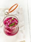 Lacto fermented red cabbage with bay leaves and sprouts — Stock Photo