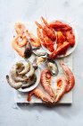 Sortimento de vários frutos do mar crus - camarões, mexilhões kiwi, lulas e lagostins — Fotografia de Stock