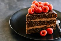 Fatia de bolo de camada de chocolate com creme de manteiga dulce de leche, ganache e framboesa — Fotografia de Stock