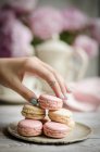 Rose and Vanilla Macarons close-up view — Stock Photo
