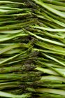 Asparagi verdi su fondo bianco — Foto stock