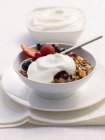 Muesli with yoghurt and berries served in bowl with spoon — Stock Photo
