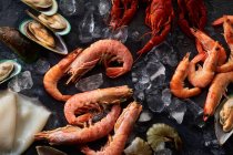 Assortiment de divers fruits de mer crus crevettes, moules kiwis, calmars et écrevisses sur glace — Photo de stock