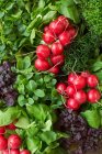 Fresh radishes and cress (seen from above) — Stock Photo