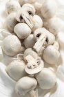 Gros plan de délicieux champignons frais — Photo de stock