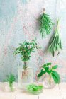 Various fresh herbs close-up view — Stock Photo