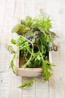 Wild herb salad in a wooden box — Stock Photo