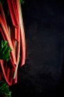 Tallos de ruibarbo fresco sobre un fondo oscuro - foto de stock