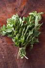 Un petit bouquet de thym aux herbes persistantes — Photo de stock