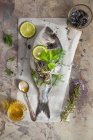 Fresh gilthead seabream with herbs and lime slices — Stock Photo