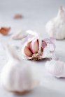 Fresh garlic close-up view — Stock Photo