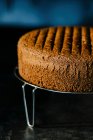 Chocolate sponge cake on stand — Stock Photo