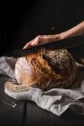 Pão assado na hora com trigo fresco sobre fundo preto — Fotografia de Stock