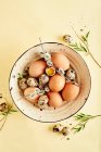 Fresh chicken and quail eggs in bowl with branches and leaves — Stock Photo