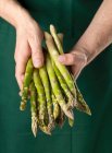 A gardener holding raw green asparagus — Stock Photo