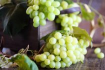 Un arreglo de uvas verdes - foto de stock