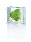 An ice cube with melissa — Stock Photo