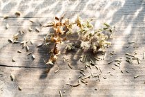 Various dried herbs and herb flowers on a wooden surface — Stock Photo