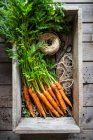 Un ramo de zanahorias de un jardín - foto de stock