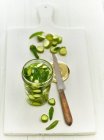Mini pepinos fermentados Lacto com hortelã — Fotografia de Stock