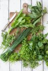 Erbe fresche per la preparazione di salsa verde — Foto stock