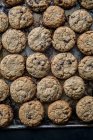 Cookies aux pépites de chocolat sur une plaque à pâtisserie — Photo de stock