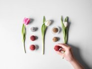 Varios pralinés dispuestos entre tulipanes (visto desde arriba) - foto de stock