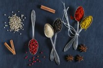 Various spices on spoons — Stock Photo