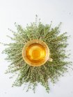 Chá de tomilho em uma xícara de vidro em ramos frescos de tomilho — Fotografia de Stock