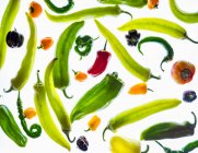 Verschiedene Arten von Paprika im Durchlicht (Vollbild)) — Stockfoto