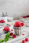 Raspberry sorbet in metal bowls with an ice cream scoop on a wooden board — Stock Photo