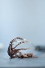 Nahaufnahme einer köstlichen Ganache aus dunkler Schokolade auf einem Schneebesen — Stockfoto
