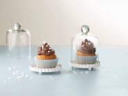 Nahaufnahme von leckeren Schokoladen-Cupcakes — Stockfoto