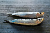Two sardines on a grey wooden background — Stock Photo
