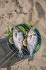 Fish barbecued on a beach with herbs and lemon — Stock Photo