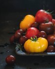 Tomates multicoloridos molhados no fundo escuro — Fotografia de Stock