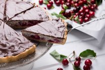 Vegan poppyseed and quark cake with sweet cherries and dark chocolate — Stock Photo
