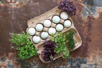 Ovos e agrião em uma caixa de ovos — Fotografia de Stock
