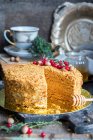 Medovik, una tradizionale torta russa al miele — Foto stock