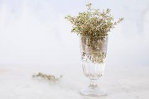 Fresh thyme in a glass jar against a white background — Stock Photo