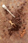 Coffee beans, ground coffee and cinnamon — Stock Photo